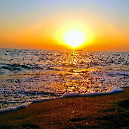 Palm Garden * Orfánion