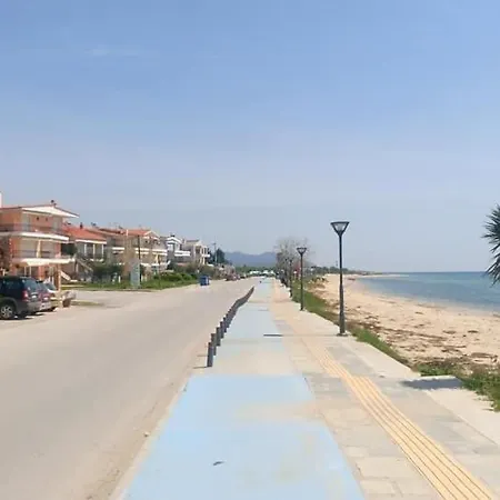 Palm Garden Apartment