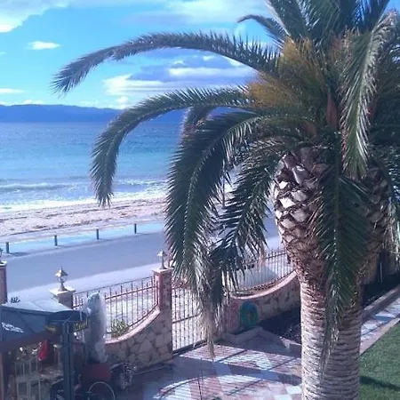 Palm Garden Orfanion