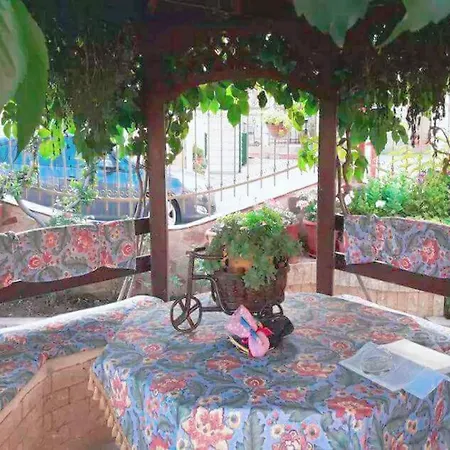 Palm Garden * Orfánion