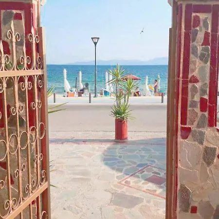 アパート Palm Garden *