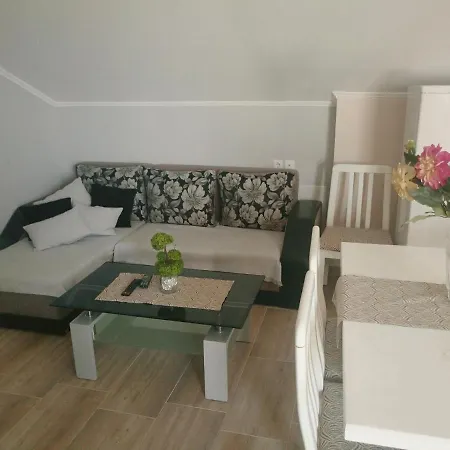 Palm Garden شقة *